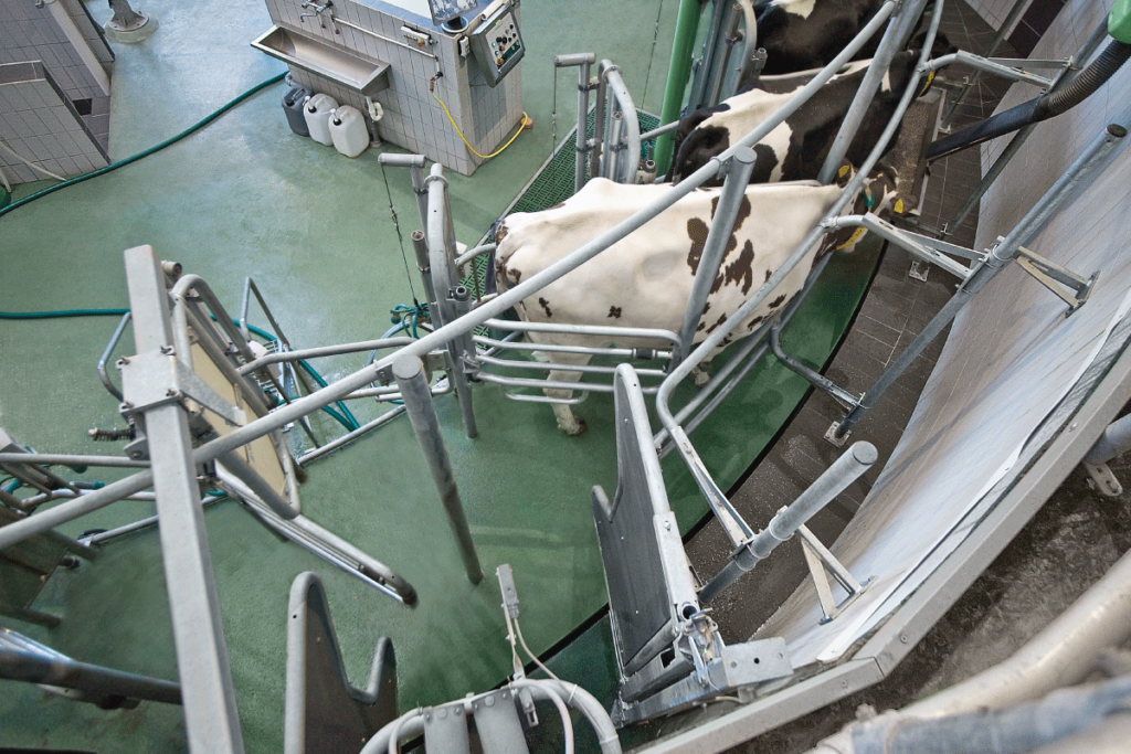 GEA AutoRotor Magnum 40